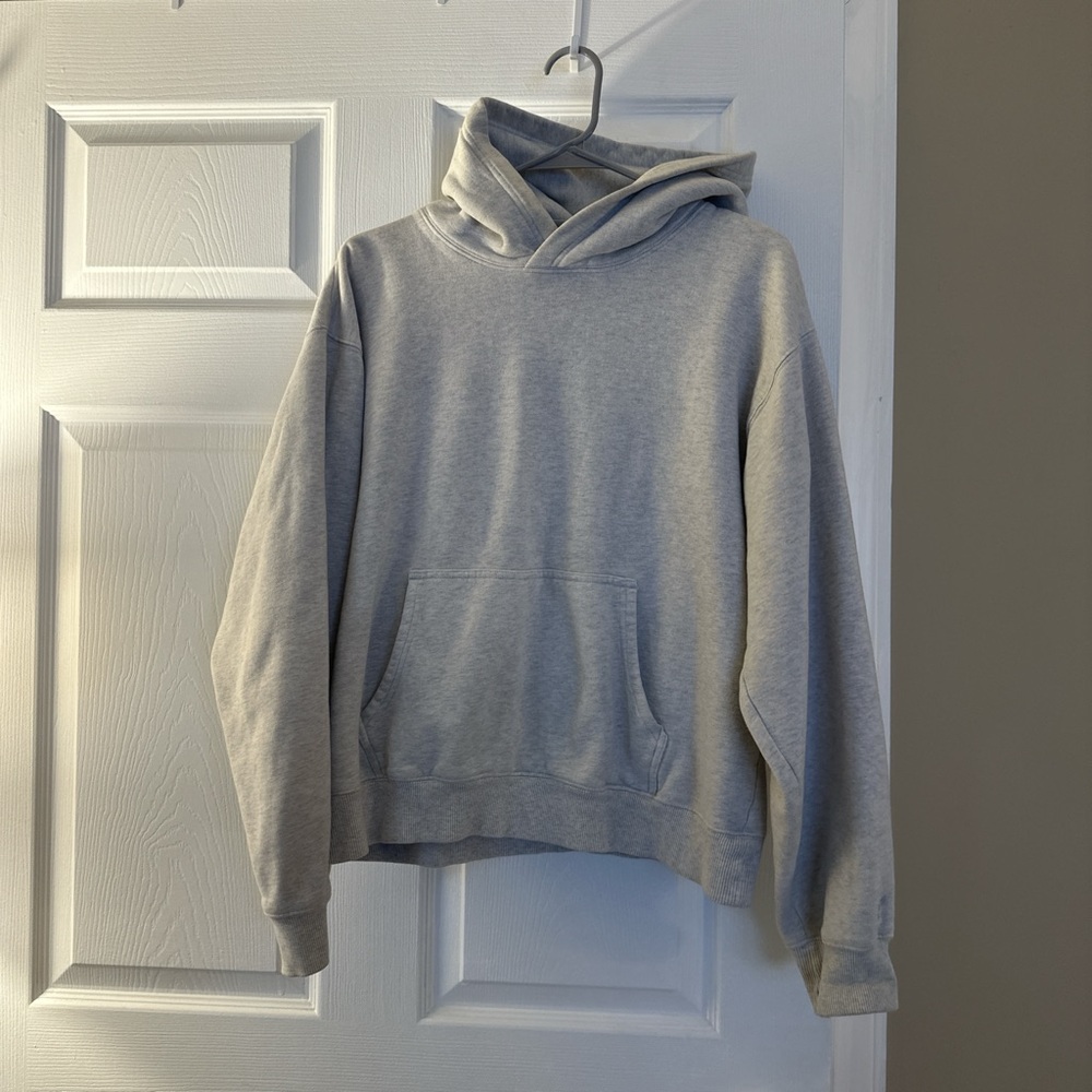 Aritzia Perfect Hoodie L